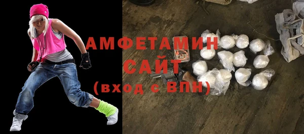 сатива Новокубанск