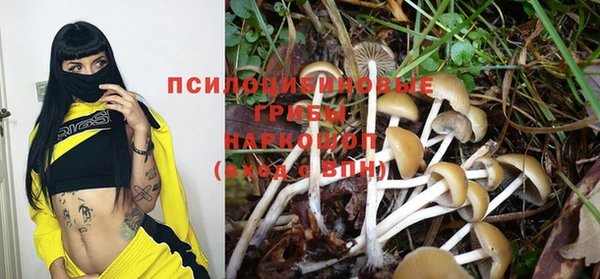 ешки Новозыбков