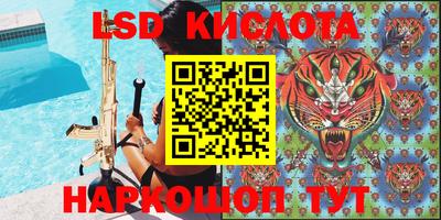 шишки Будённовск