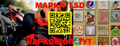 шишки Будённовск