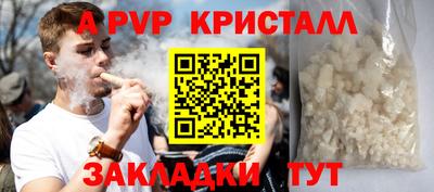 шишки Будённовск