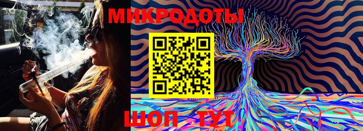 Псилоцибиновые грибы Psilocybe Лысьва