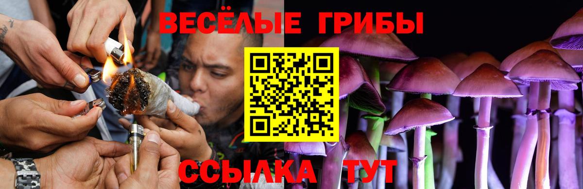 Псилоцибиновые грибы Psilocybine cubensis  Вход с VPN  Лысьва 